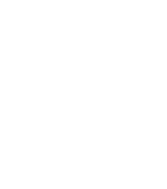 Icon displaying the text 'Option 1'