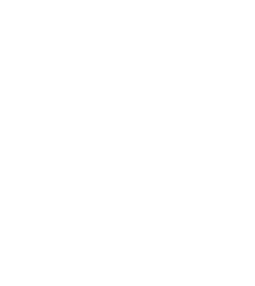 Icon displaying the text 'Option 2'