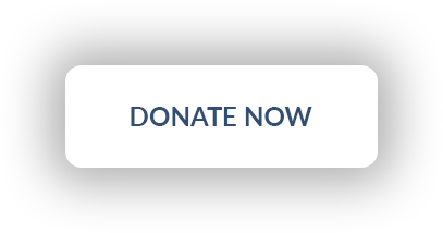 Donate Now Button