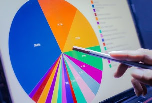 Close-up of a digital pie chart on a laptop screen